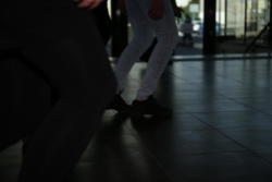 IMG 0422
