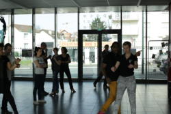 IMG 0778