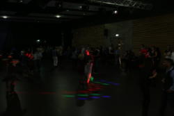 IMG 1318